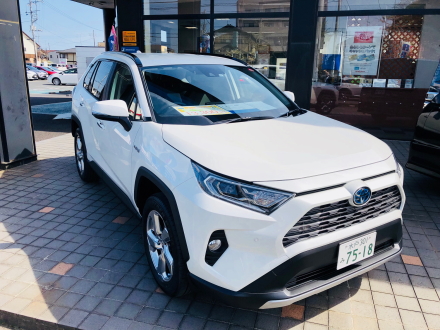 マイネ昭和通りRAV4
