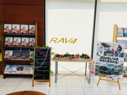 マイネ昭和通りRAV4