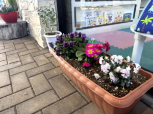 マイネ古河店内